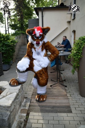 BFD9 0756 von Tenzo BFD9 0756 von Tenzo