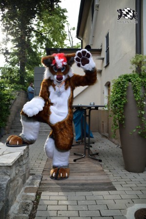 BFD9 0757 von Tenzo BFD9 0757 von Tenzo