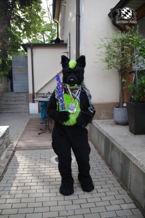 BFD9 0760 von Tenzo BFD9 0760 von Tenzo