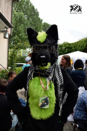 BFD9 0763 von Tenzo BFD9 0763 von Tenzo