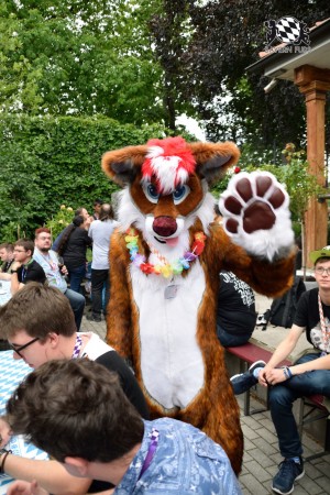 BFD9 0765 von Tenzo BFD9 0765 von Tenzo