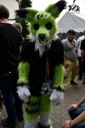 BFD9 0771 von Tenzo BFD9 0771 von Tenzo