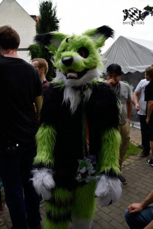 BFD9 0772 von Tenzo BFD9 0772 von Tenzo