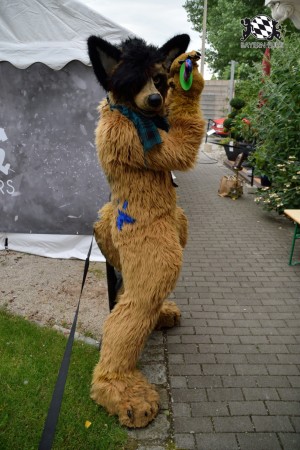 BFD9 0774 von Tenzo BFD9 0774 von Tenzo