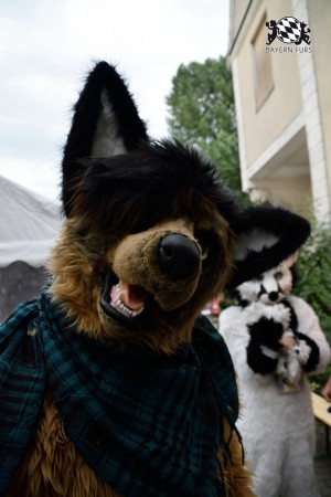 BFD9 0775 von Tenzo BFD9 0775 von Tenzo