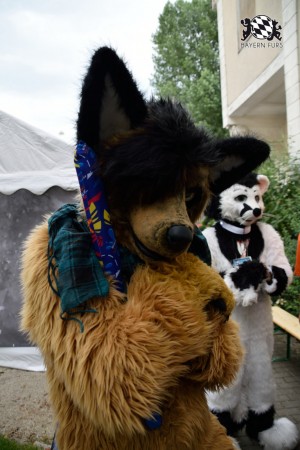 BFD9 0776 von Tenzo BFD9 0776 von Tenzo