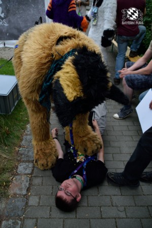 BFD9 0777 von Tenzo BFD9 0777 von Tenzo