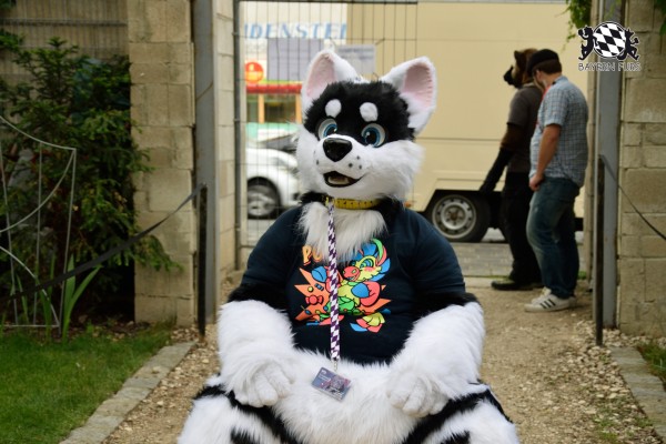 BFD9 0779 von Tenzo BFD9 0779 von Tenzo