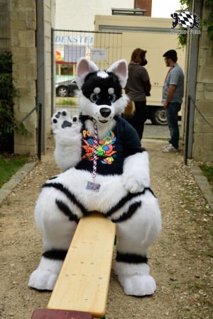 BFD9 0780 von Tenzo BFD9 0780 von Tenzo