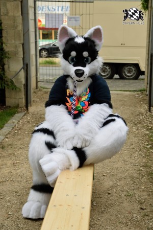 BFD9 0781 von Tenzo BFD9 0781 von Tenzo