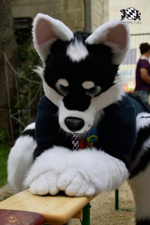 BFD9 0782 von Tenzo BFD9 0782 von Tenzo