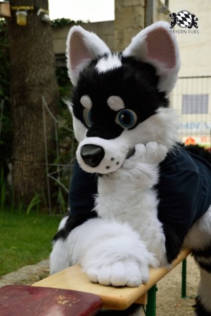 BFD9 0784 von Tenzo BFD9 0784 von Tenzo