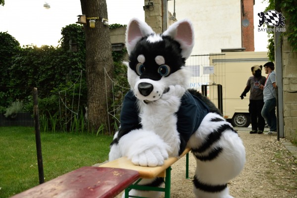 BFD9 0785 von Tenzo BFD9 0785 von Tenzo