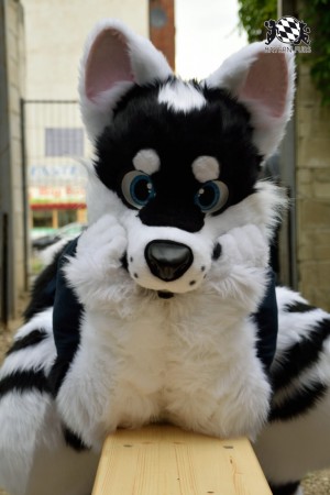 BFD9 0786 von Tenzo BFD9 0786 von Tenzo