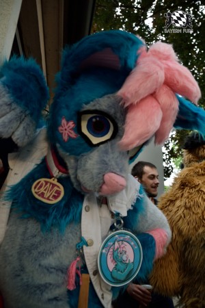 BFD9 0787 von Tenzo BFD9 0787 von Tenzo