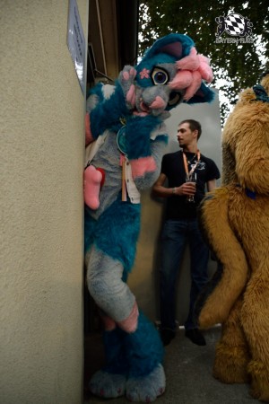 BFD9 0788 von Tenzo BFD9 0788 von Tenzo