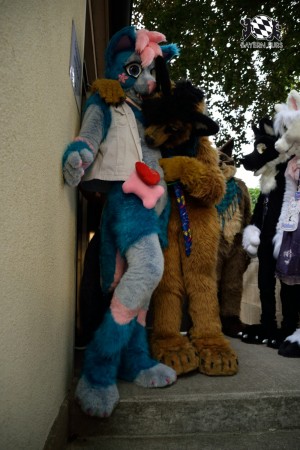 BFD9 0789 von Tenzo BFD9 0789 von Tenzo