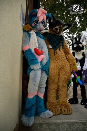 BFD9 0790 von Tenzo BFD9 0790 von Tenzo