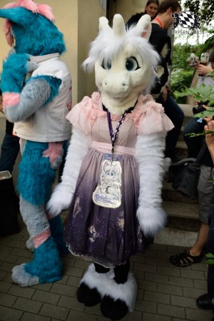 BFD9 0791 von Tenzo BFD9 0791 von Tenzo