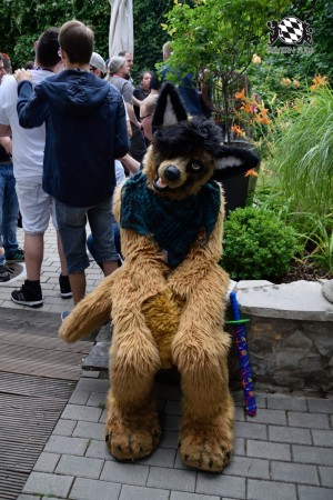 BFD9 0793 von Tenzo BFD9 0793 von Tenzo