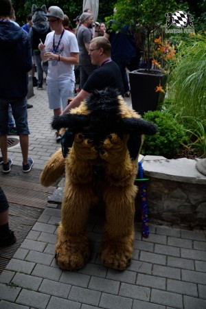 BFD9 0794 von Tenzo BFD9 0794 von Tenzo