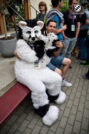 BFD9 0797 von Tenzo BFD9 0797 von Tenzo