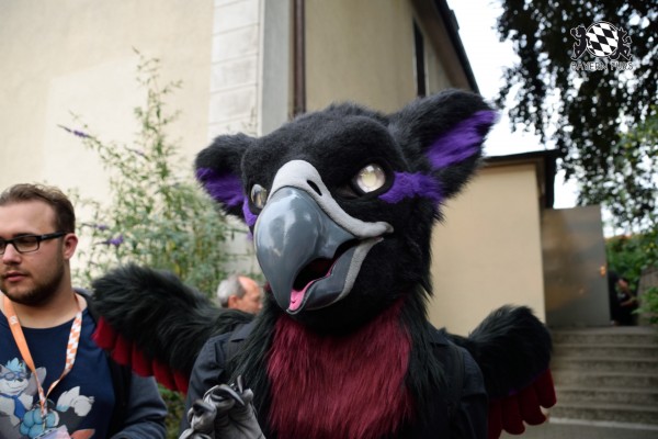 BFD9 0800 von Tenzo BFD9 0800 von Tenzo