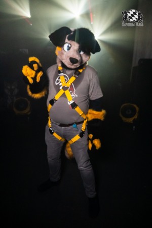 BFD10 0135 von Ryius BFD10 0135 von Ryius