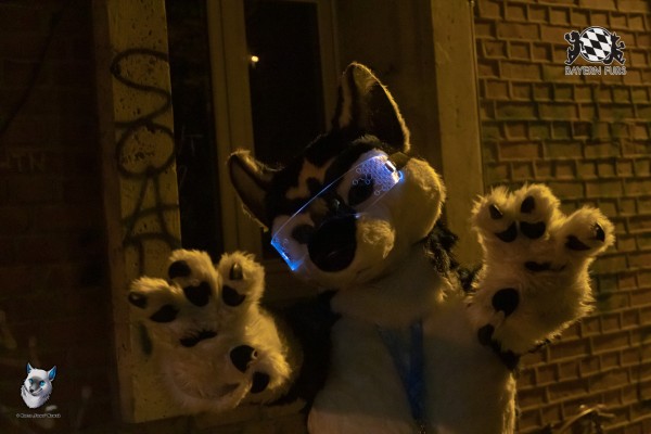 BFD10 0170 von FuWo BFD10 0170 von FuWo