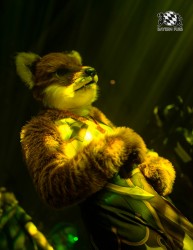 BFD10 0219 von Captain Chaotika BFD10 0219 von Captain Chaotika