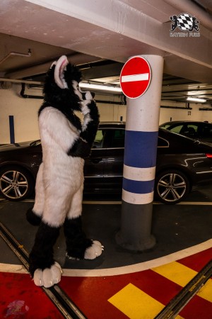 CGC2 0001 von Ryius Suitwalk CGC2 0001 von Ryius Suitwalk