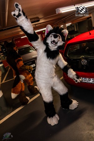 CGC2 0002 von Ryius Suitwalk CGC2 0002 von Ryius Suitwalk