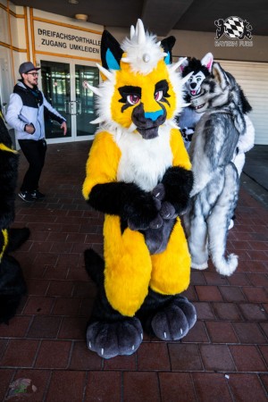 CGC2 0006 von Ryius Suitwalk CGC2 0006 von Ryius Suitwalk