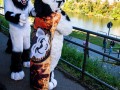 CGC2 0017 von Ryius Suitwalk