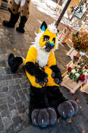 CGC2 0032 von Ryius Suitwalk CGC2 0032 von Ryius Suitwalk