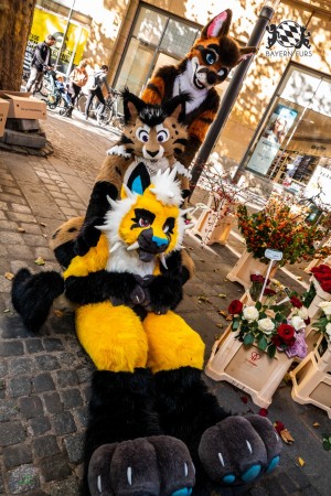 CGC2 0034 von Ryius Suitwalk CGC2 0034 von Ryius Suitwalk