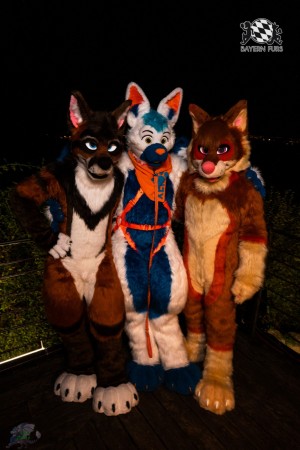 CGC2 0062 von Ryius CGC2 0062 von Ryius