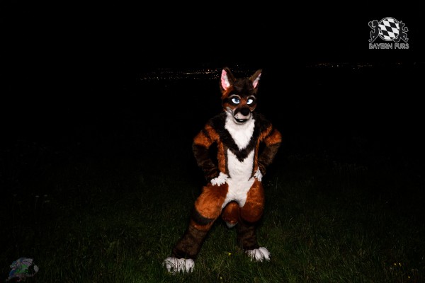 CGC2 0067 von Ryius CGC2 0067 von Ryius