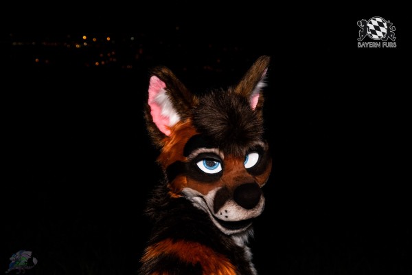 CGC2 0070 von Ryius CGC2 0070 von Ryius