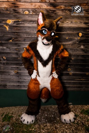 CGC2 0071 von Ryius CGC2 0071 von Ryius