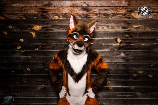 CGC2 0072 von Ryius CGC2 0072 von Ryius