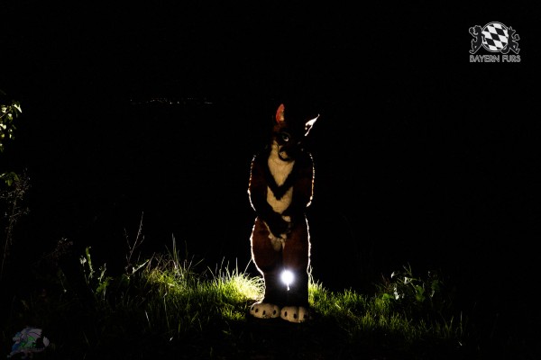 CGC2 0079 von Ryius CGC2 0079 von Ryius