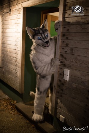 CGC2 0118 von Bastlwastl CGC2 0118 von Bastlwastl