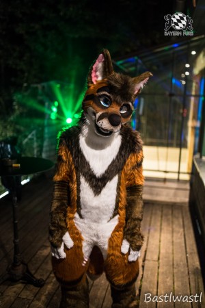 CGC2 0134 von Bastlwastl CGC2 0134 von Bastlwastl