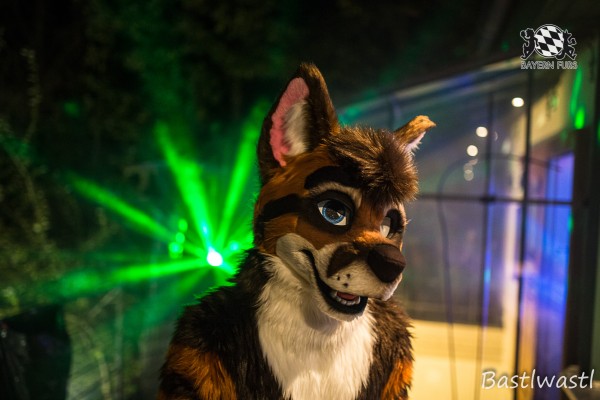 CGC2 0137 von Bastlwastl CGC2 0137 von Bastlwastl