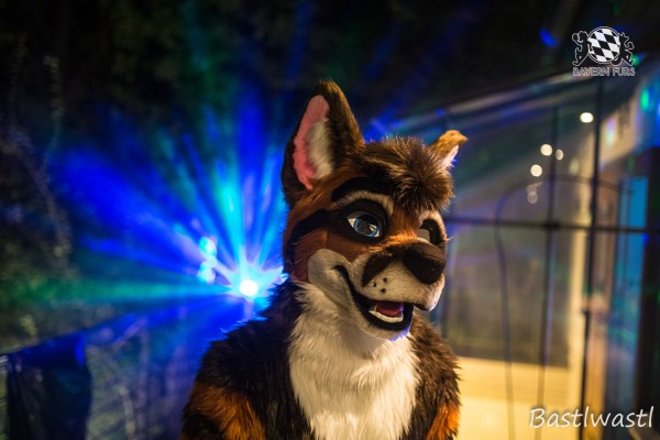 CGC2 0138 von Bastlwastl CGC2 0138 von Bastlwastl