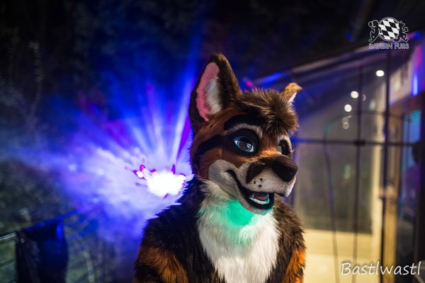 CGC2 0140 von Bastlwastl CGC2 0140 von Bastlwastl