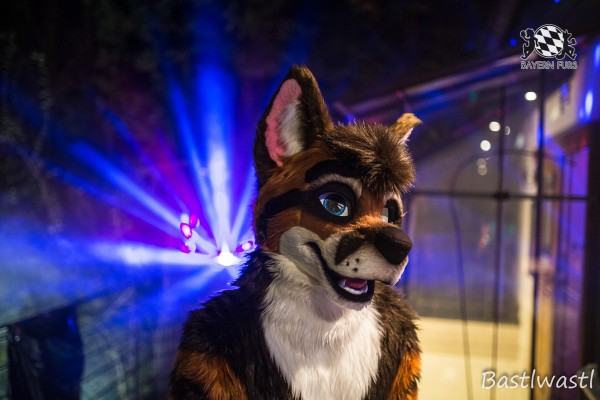 CGC2 0141 von Bastlwastl CGC2 0141 von Bastlwastl