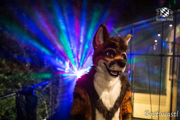 CGC2 0145 von Bastlwastl CGC2 0145 von Bastlwastl