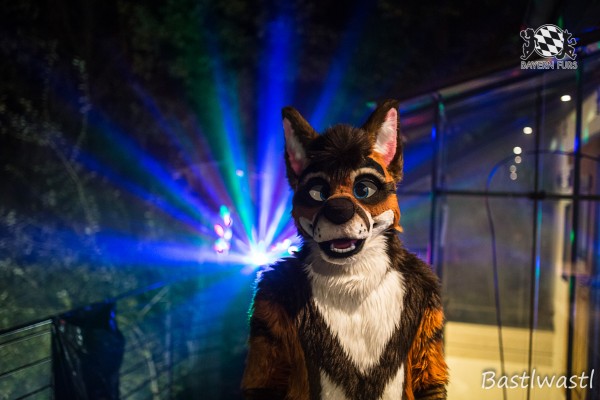 CGC2 0146 von Bastlwastl CGC2 0146 von Bastlwastl